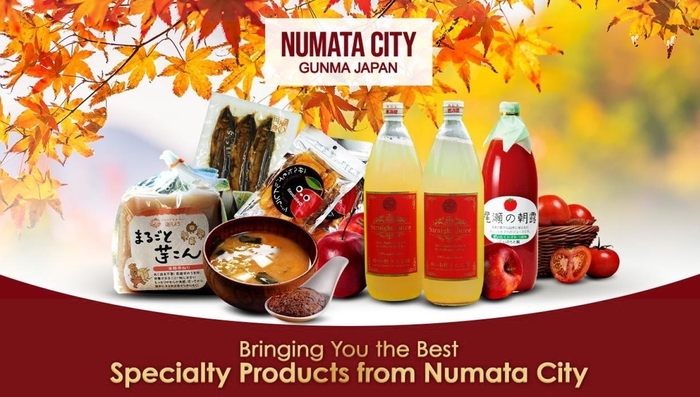 Qoo10フェア:沼田市11企業商品2