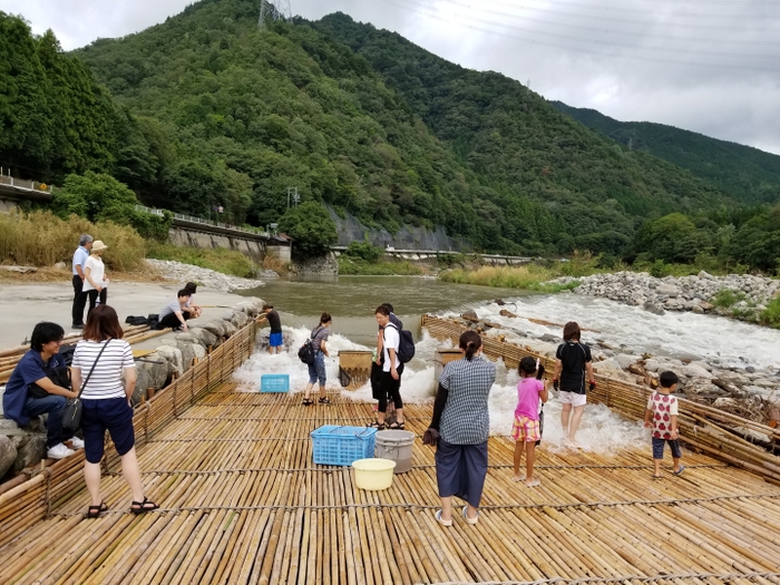 発表天然鮎料理1