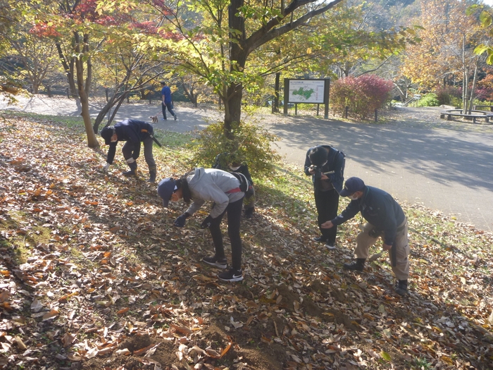 園内でどんぐりを探そう