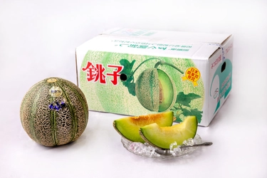 “幻のメロン”銚子メロン、 6月1日今季出荷開始　銚子の初夏の風物詩