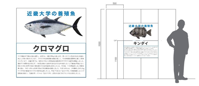 近畿大学養殖魚フォトギャラリーのイメージ