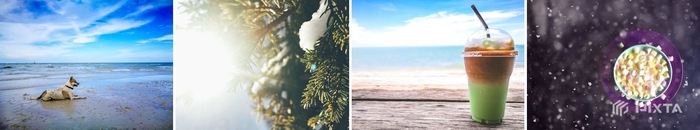 トライアル中にPIXTAに投稿されたスマホ撮影による写真素材