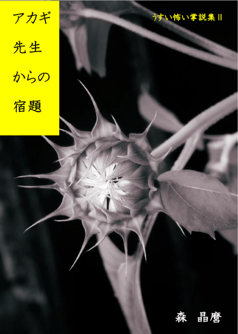 掌編「アカギ先生からの宿題」