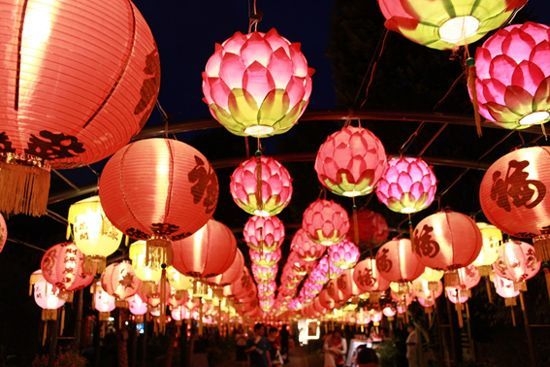 みやざきグルメとランタンナイト イメージ