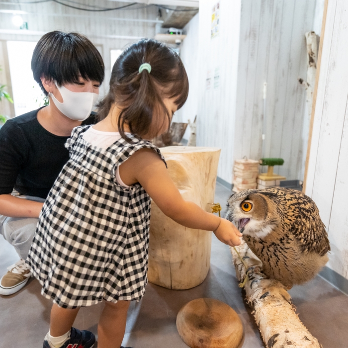 お子様も楽しめる餌やり体験!