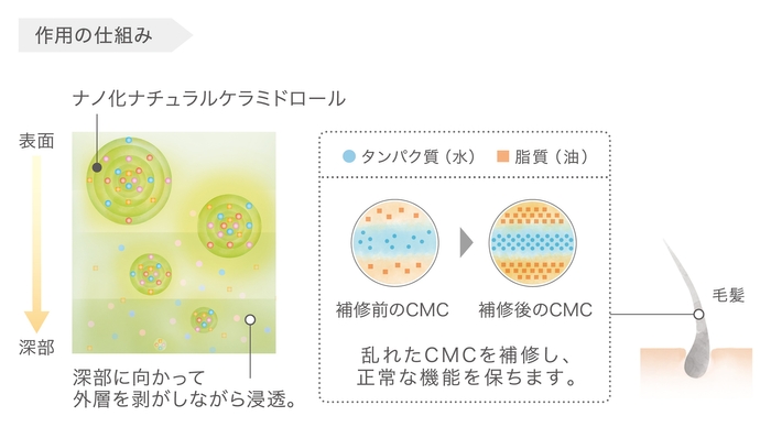 ナノ化ナチュラルケラミドロール 作用の仕組み