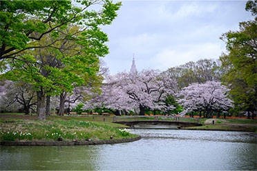 hiro_wind_roadster撮影場所：代々木公園