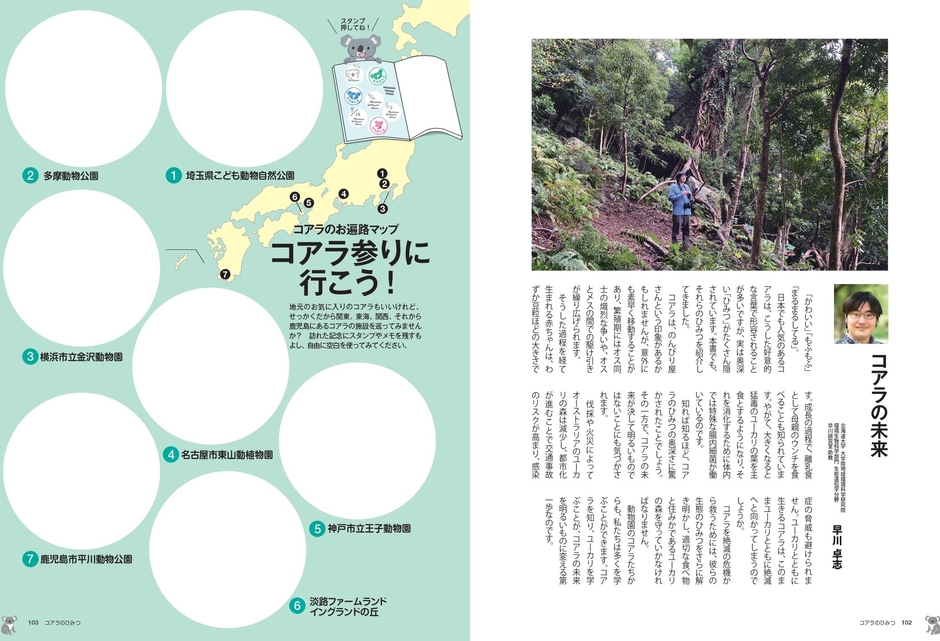 コアラの未来・コアラ参りに行こう!