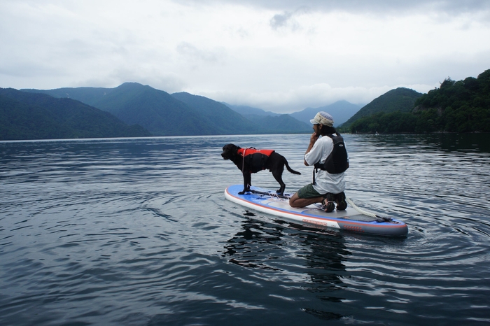 愛犬とSUP