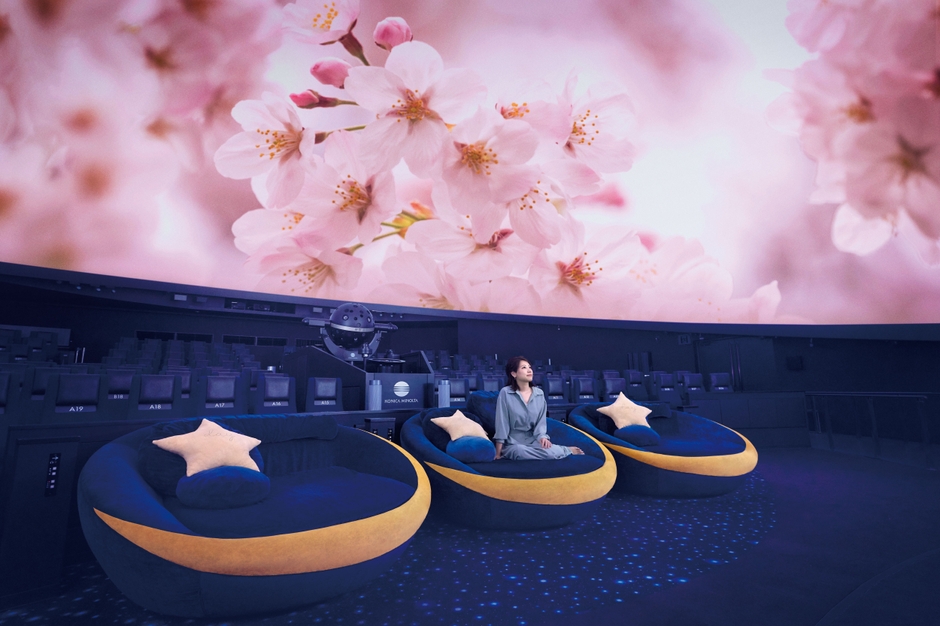 プラネタリウム天空 桜タイトル無し
