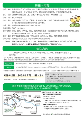 チラシ裏
