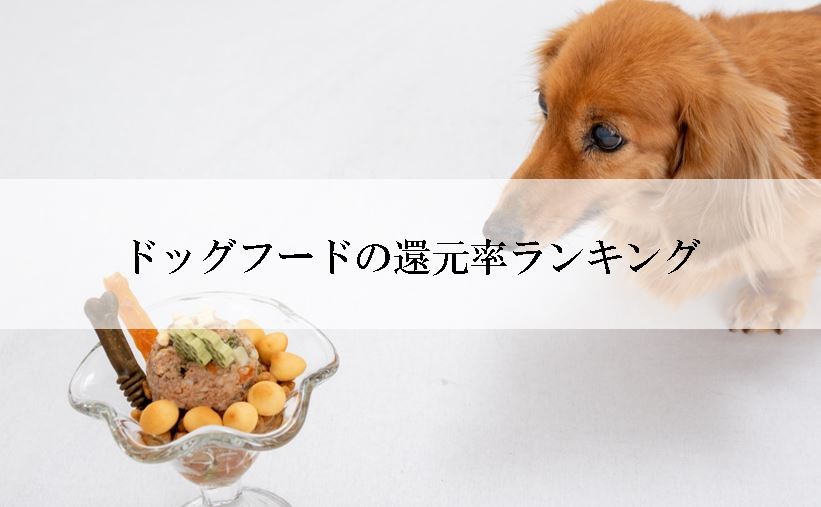 【2025年8月版】ふるさと納税でもらえる『ドッグフード』の還元率ランキングを発表