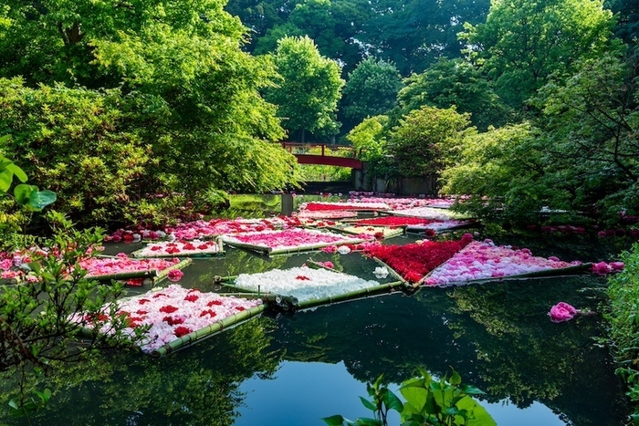 芍薬の花筏は、5月の週末に開催(ヒーリングエリアの池にて)