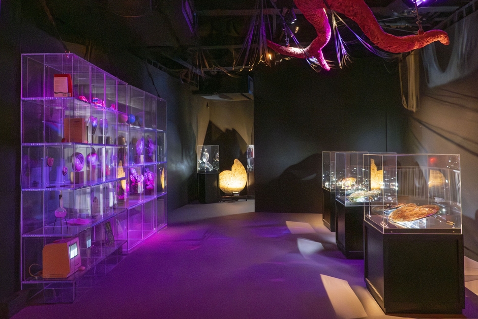 ▲パビリオンで展示していた「アンモライト」