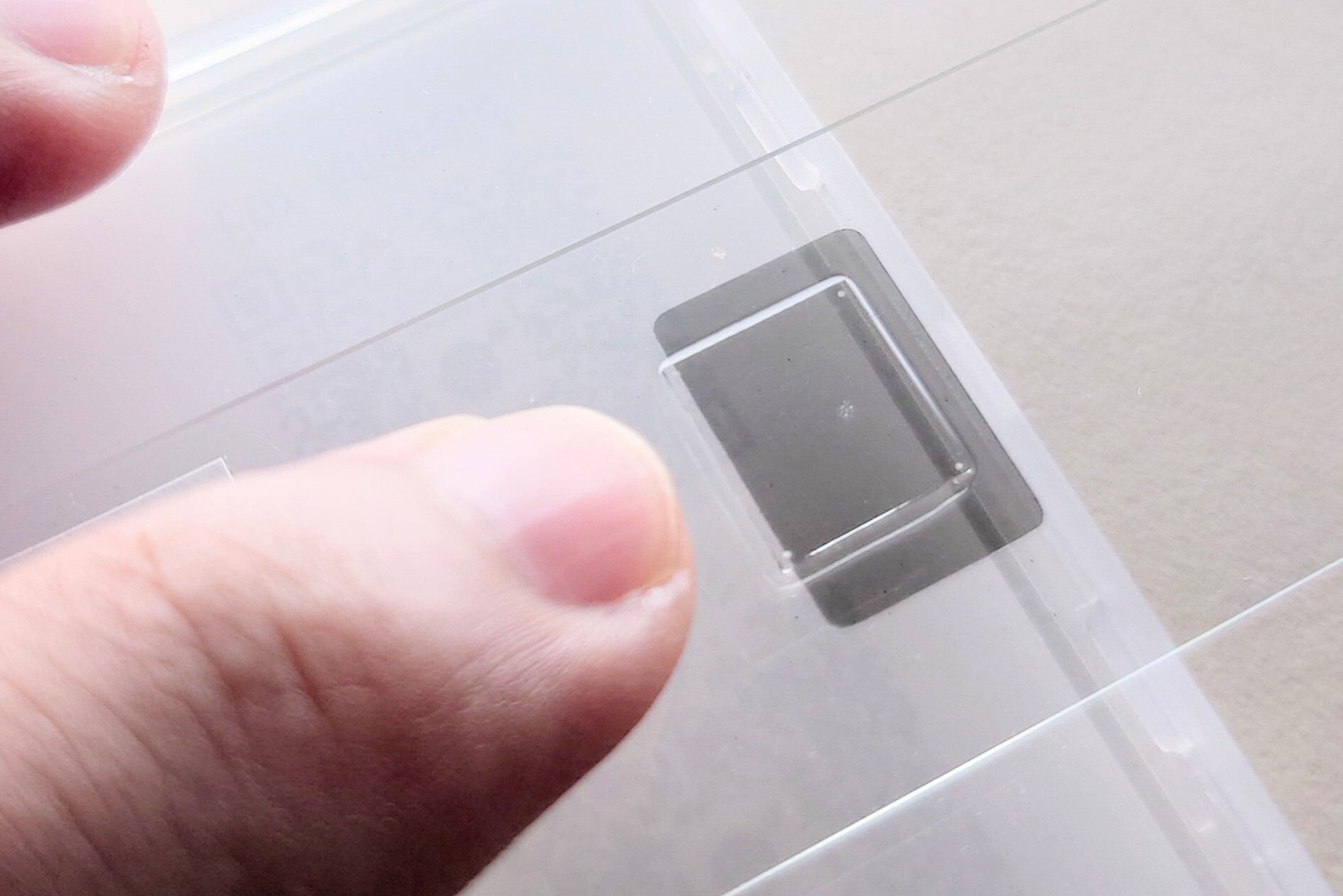 放散虫(肉眼サイズ)