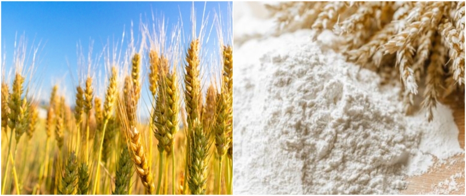 北海道小麦「キタノカオリ」を使用(画像はイメージです)