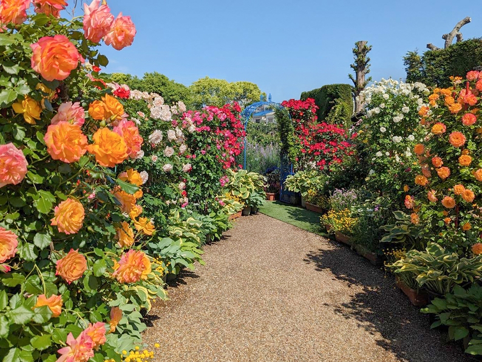 ※画像は過去の様子です
