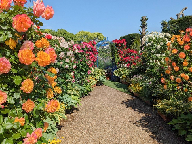※画像は過去の様子です