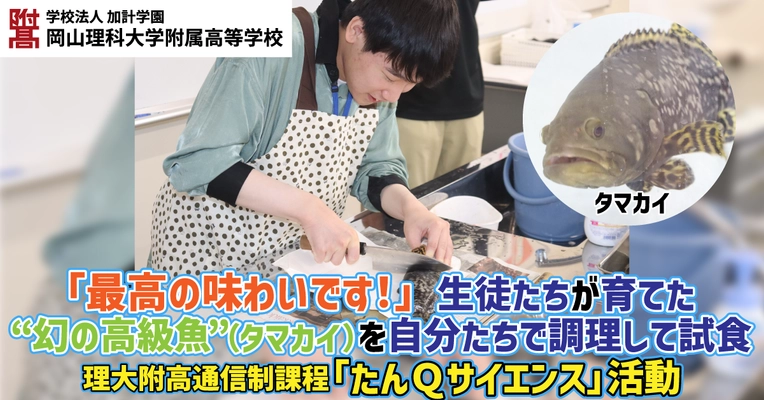 「最高の味わいです！」 生徒たちが育てた“幻の高級魚”（タマカイ）を自分たちで調理して試食／理大附高通信制課程「たんＱサイエンス」活動