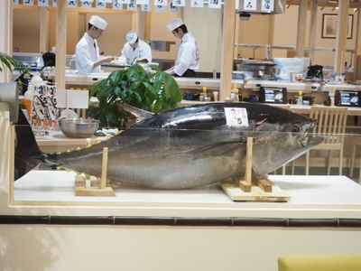 生本まぐろ解体ショー