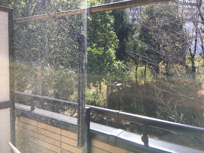 掃除後の窓(右側)は水分が残らずピカピカに。