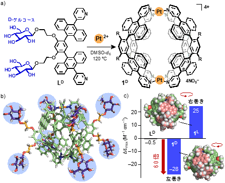 図2（a）D-グルコースを導入した配位子と白金イオンからのらせん型カプセル1Dの形成　（b）カプセル1Dの立体構造（単糖部位を強調）　（c）配位子とカプセルのCDバンドの強度比較