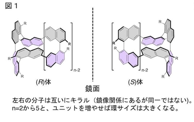 分子構造とCPLの相関(1)