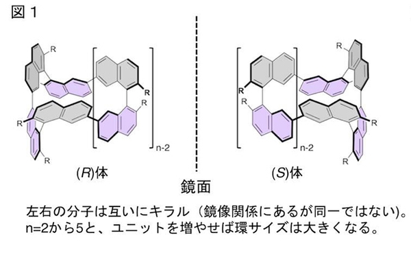 分子構造とCPLの相関(1)