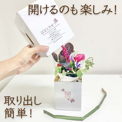 お届けの箱