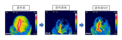 図4:冷却育毛剤により、毛髪・頭皮の温度低下の継続を確認