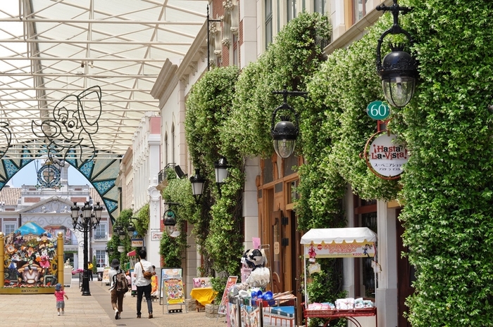 スタージャスミン(エスパーニャ通り)