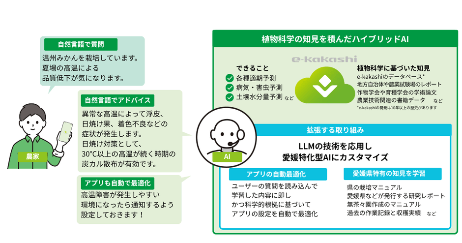 LLMを搭載した愛媛特化型AIのイメージ