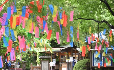 都立9庭園で夏の風物詩イベント「七夕飾り」を実施します（7/1～7/7）