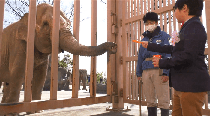 かみね動物園