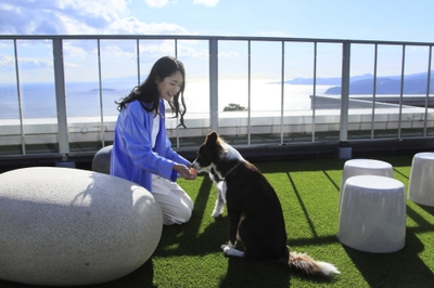 ルーフトップドッグラン（ゆるり熱海with DOGS）