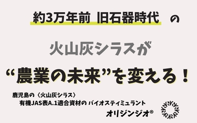 メインページ(2)