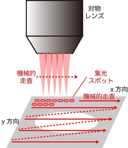 図B　イメージ取得のための機械的焦点走査