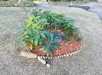 新春 寄せ植え展示（昨年度の様子）