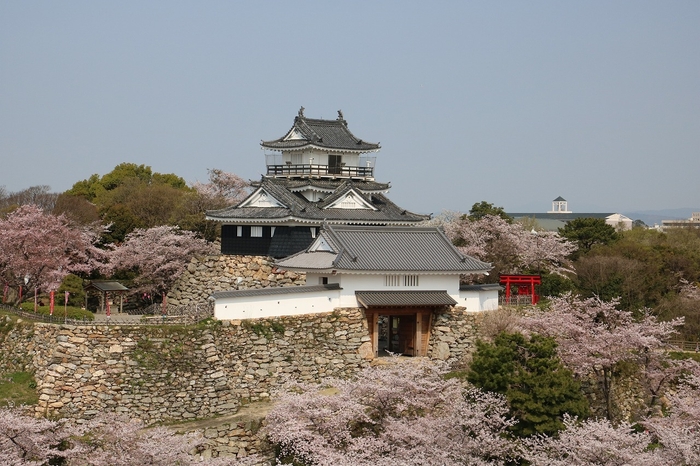 浜松城公園