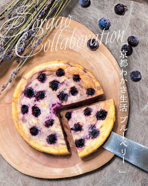 わかさ生活×ソラアオ　京都わかさ生活ブルーベリーチーズケーキ