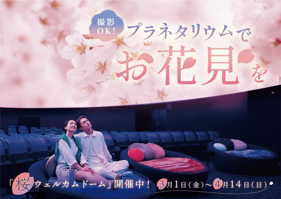 桜ウェルカムドーム(プラネタリアYOKOHAMA)