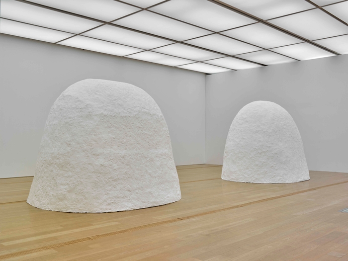 《曇天1》《曇天2》2019年(長崎県美術館での展示風景)撮影：山本糾 Courtesy of ANOMALY