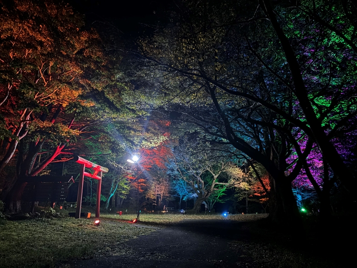 カラフルにライトアップされた作並温泉の湯神神社の様子