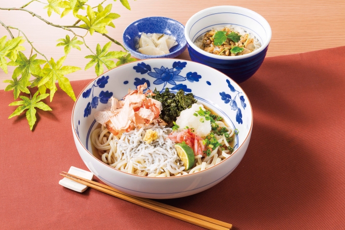 釜揚げしらすと生桜海老のおろしうどんと小丼セット