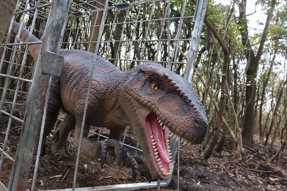 恐竜の森/フクイラプトル