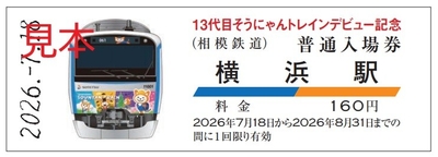 「D型硬券普通入場券」一部（イメージ）