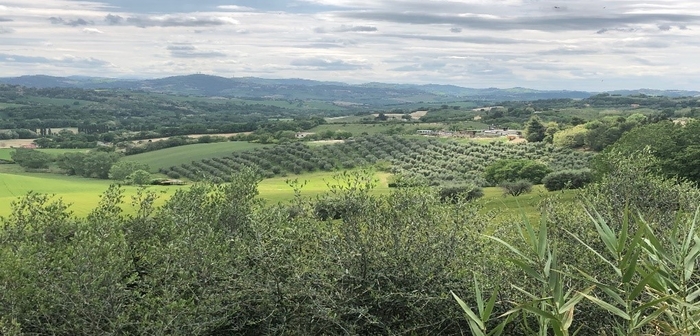 イタリア・シチリア西部に位置するセリヌンテ