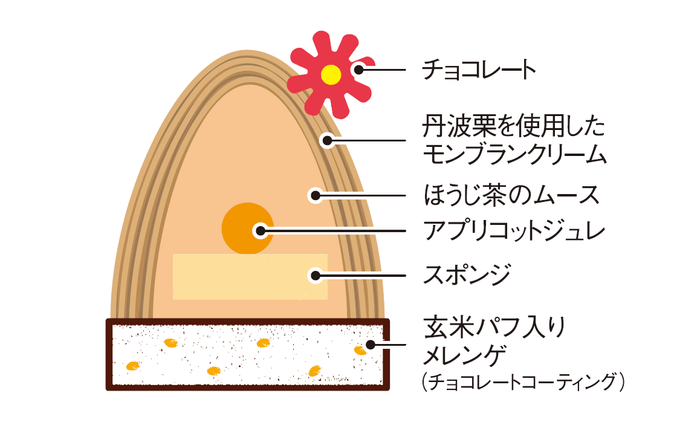 ほうじ茶/断面図