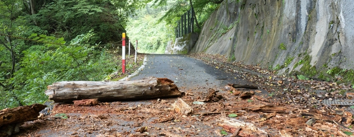 倒木や土砂崩れで道がふさがっている場合