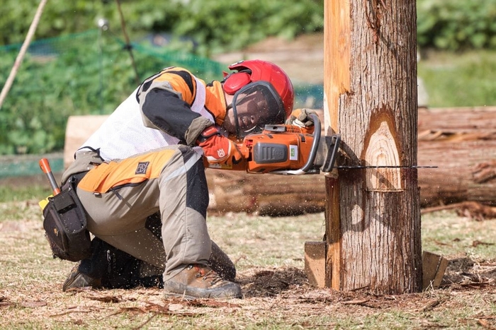 △昨年の大会で、高い技術を披露する選手